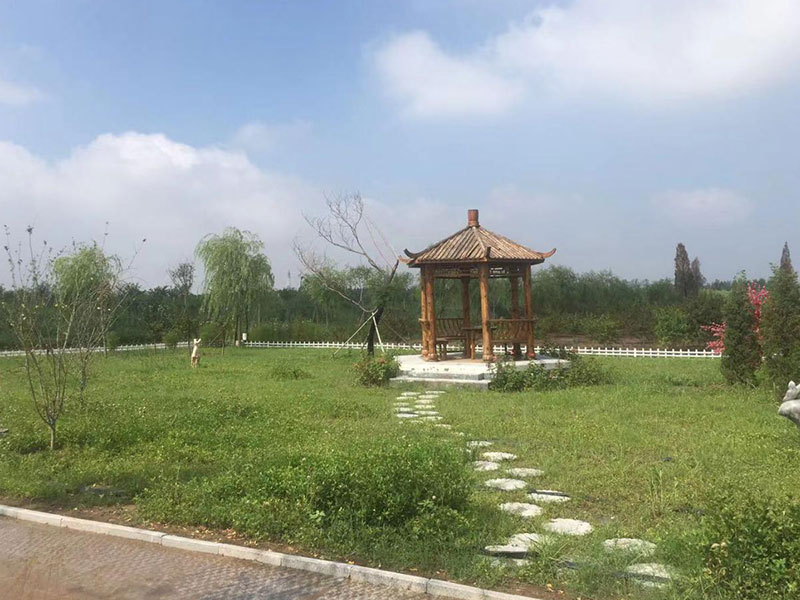 清颐园公墓环境图
